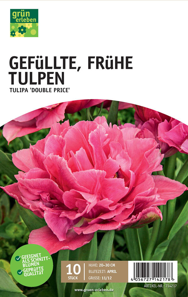 Gr N Erleben Gef Llte Fr He Tulpen Tulipa Double Price St Ck