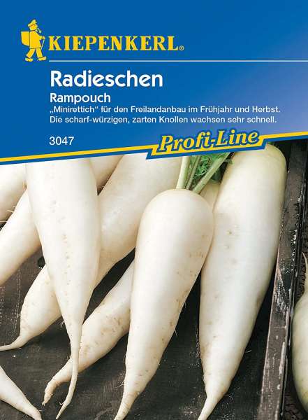 Kiepernkerl, Radieschensamen Rampouch